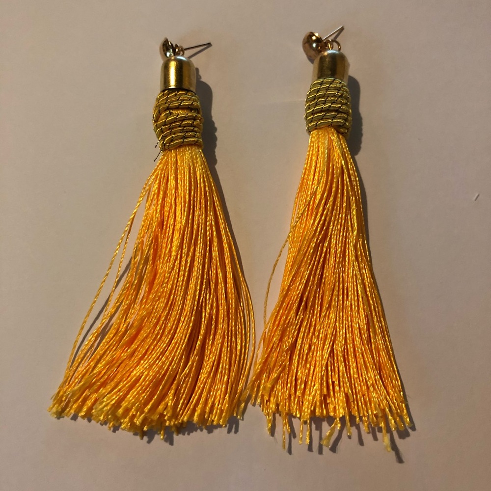 Long Tassel Fringe Earring NEW